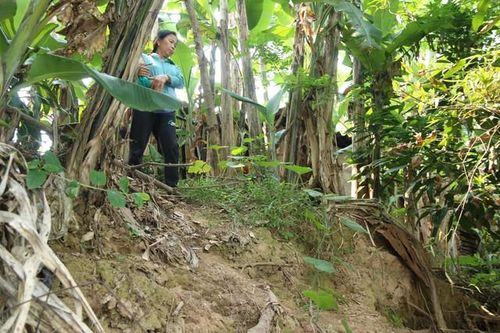 Dân vẫn lo sạt lở, bao giờ dự án khắc phục khẩn cấp triển khai?