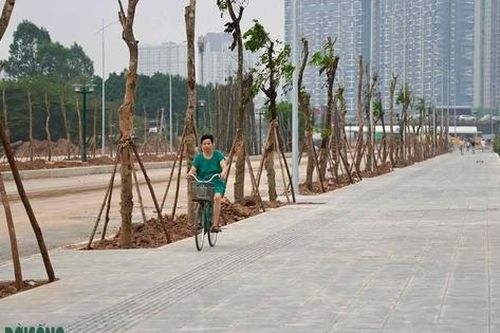 Chốt ngày thông xe tuyến đường nối 2 quận ở Hà Nội