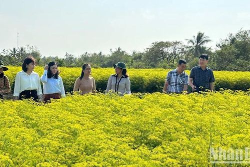 Phum sóc đồng bào Khmer ở Bạc Liêu khởi sắc