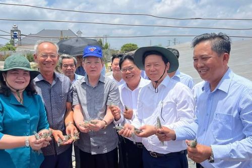 Bến Tre phát triển mô hình nông dân tỷ phú