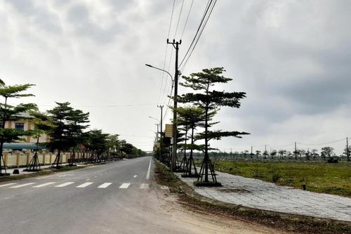 Tiến thoái lưỡng nan
