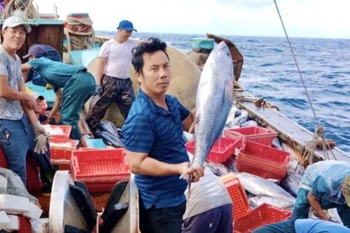 Ngư dân miền Trung vươn mình ra biển lớn - Bài 2: 'Mở biển' vươn khơi xa