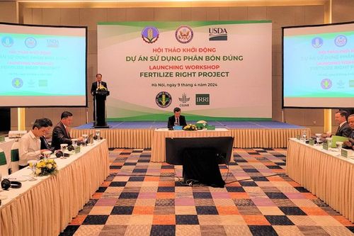 6 tỉnh được chọn triển khai 'Dự án sử dụng phân bón đúng'