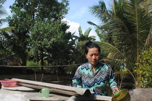 ĐBSCL: Hơn 50.000 hộ dân nông thôn thiếu nước sinh hoạt