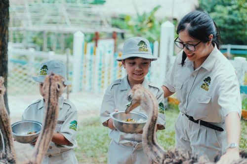 Khám phá trải nghiệm 'chạm đến hoang dã' tại Vinpearl Safari Phú Quốc