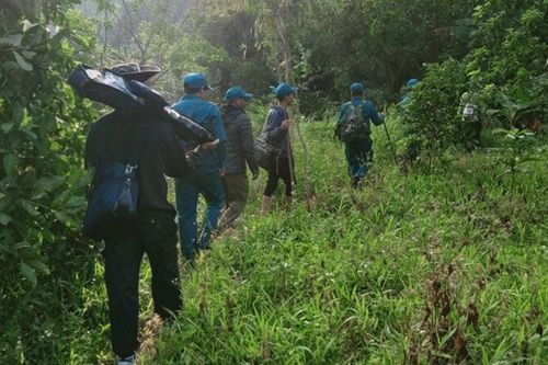 Đổ xô đào rừng vì tin đồn trúng kỳ nam chục tỷ đồng
