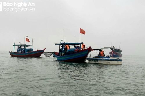 Lãnh đạo Sở Nông Nghiệp và Phát triển nông thôn Nghệ An 'đau đầu' khi hoạt động kiểm ngư bị tê liệt