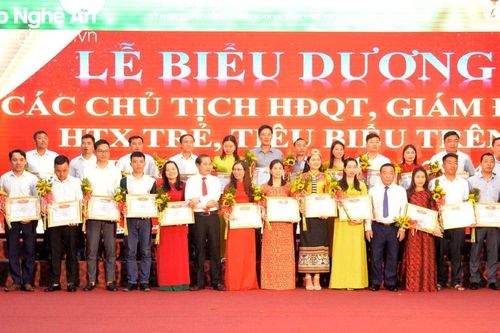 Liên minh Hợp tác xã tỉnh Nghệ An suy tôn 27 giám đốc hợp tác xã trẻ tiêu biểu