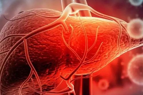 Hơn 3.500 người tử vong mỗi ngày do viêm gan virus