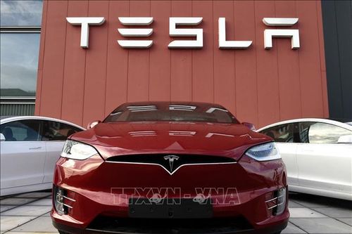 Mexico triệu hồi hơn 4.000 xe điện Tesla do lỗi phần mềm