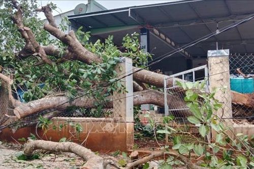 Bình Phước: Mưa lớn kèm theo dông lốc làm tốc mái nhà dân, sập tường rào trường học