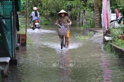 Hậu Giang: Chủ động ứng phó, giảm thiểu thiệt hại do mưa, dông lốc