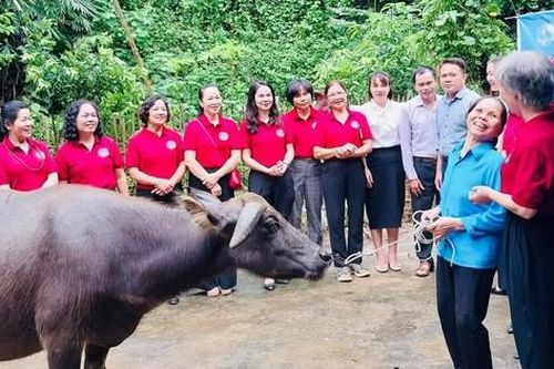 Nhân rộng mô hình 'Chi hội phụ nữ thu gom rác thải tái chế' giúp phụ nữ nghèo ở Thành phố Hòa Bình