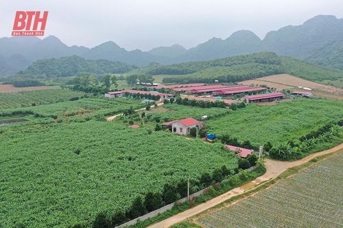 Chung tay kiến tạo những vùng quê phát triển toàn diện