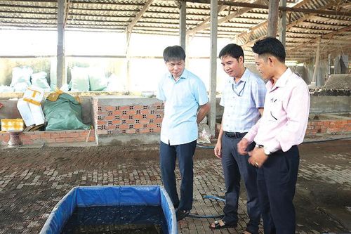Hỗ trợ thanh niên khởi nghiệp sáng tạo