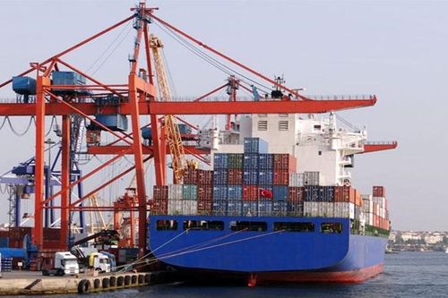 Học xuất nhập khẩu miễn phí ở đâu?