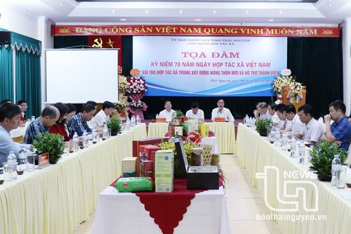 Những đóng góp quan trọng của hợp tác xã trong xây dựng nông thôn mới