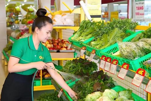 Cổ đông lớn mua 5% cổ phần Bách Hóa Xanh là ai?