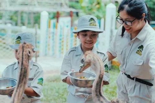Khám phá bộ đôi trải nghiệm 'chạm đến hoang dã' siêu hot tại Vinpearl Safari Phú Quốc