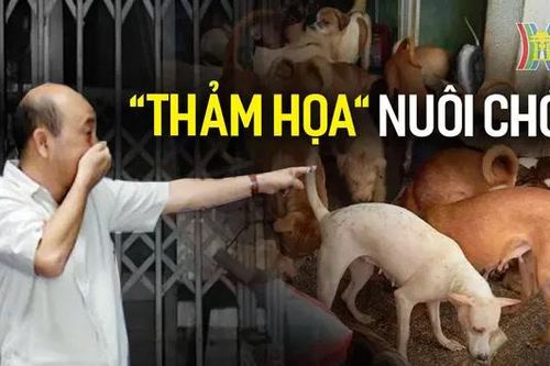 'Thảm họa' nuôi chó ở khu dân cư