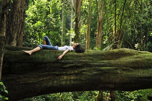 Thế nào là tắm rừng kiểu Nhật Bản?