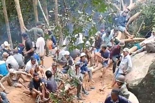 Phú Yên: Hàng trăm người đổ vào rừng tìm trầm sau tin đồn trúng kỳ nam chục tỷ