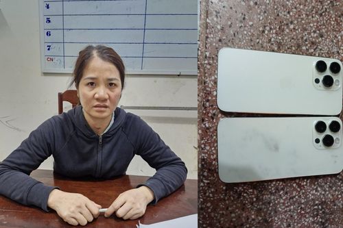Thiếu tiền tiêu xài, 'nữ quái' đặt mua iPhone giả về bán