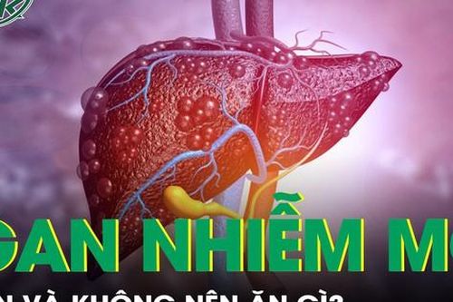 Chế độ ăn phù hợp cho người bị gan nhiễm mỡ