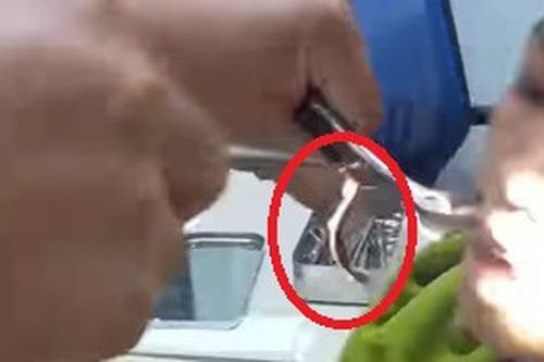 Video bác sĩ gắp con vắt dài 8cm trong mũi bé trai sau khi uống nước ở khe suối
