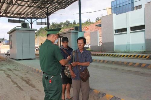 Bệnh than diễn biến phức tạp bên kia biên giới, kiểm soát chặt phòng lây lan