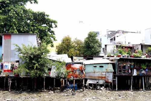 Hành trình hồi sinh những dòng kênh - Bài 1: Sống lay lắt ven những dòng kênh đen