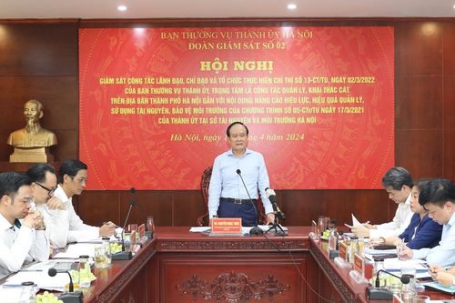 Phát hiện, xử lý kịp thời vi phạm về quản lý, sử dụng đất, khoáng sản
