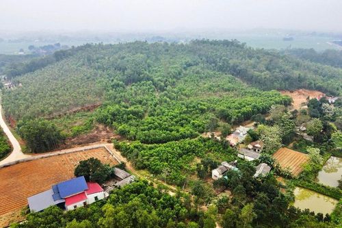 Thanh Hóa: dừng đấu giá mỏ đất núi Ngọc