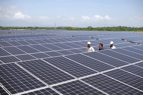 Ninh Thuận: năng lượng tái tạo tăng trưởng tăng mạnh, đóng góp 2,84% GRDP