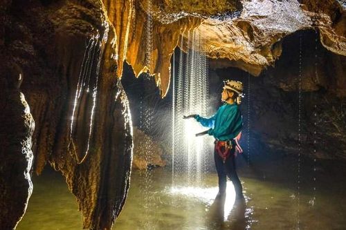 Thiếu vé máy bay, doanh nghiệp ở Quảng Bình mở tour du lịch bằng xe giường nằm