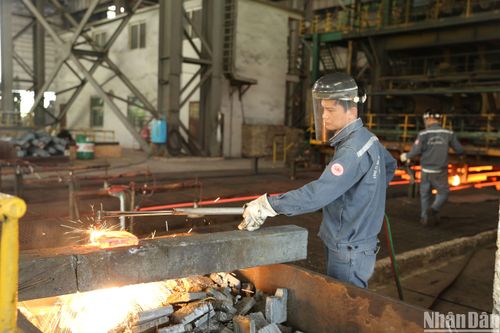 Nhu cầu thép trên toàn cầu tăng mạnh trong năm 2024