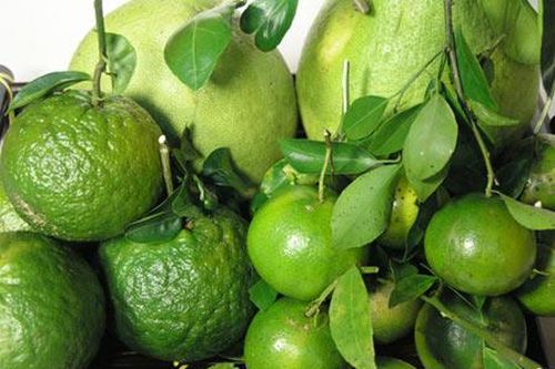 Cider và trà túi lọc từ cam, bưởi
