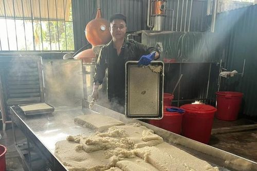 Chuyện khởi nghiệp trên núi của thanh niên người dân tộc Tày