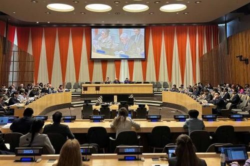 Việt Nam trúng cử Hội đồng chấp hành UN Women nhiệm kỳ 2025-2027