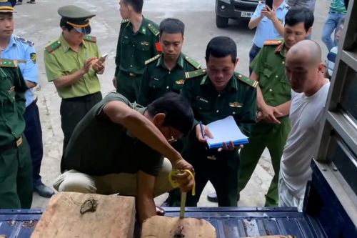 Bắt giữ 2 đối tượng vận chuyển lâm sản trái phép