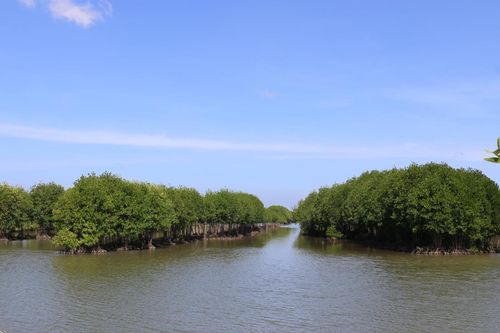 Canh tác nông nghiệp thuận thiên mang lại lợi ích kinh tế và môi trường