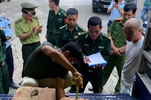 Bắt quả tang hai ô tô vận chuyển gỗ lậu về thành phố