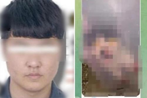 Bí ẩn sau quyết định từ chối nhập học: Nam sinh xếp hạng 1 bị từ chối vì từng ngược đãi mèo