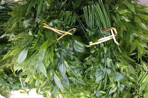 Loại rau đắt ngang thịt bò, hàm lượng dinh dưỡng cao, còn là vị thuốc tốt