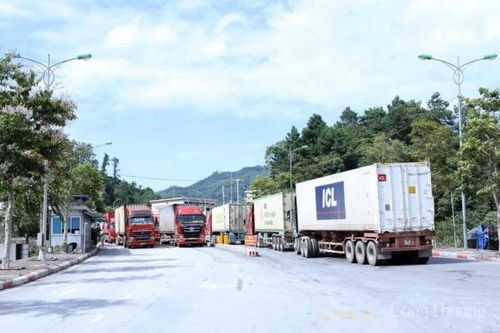 Lạng Sơn: Đảm bảo hoạt động xuất nhập khẩu qua các cửa khẩu duy trì thông suốt