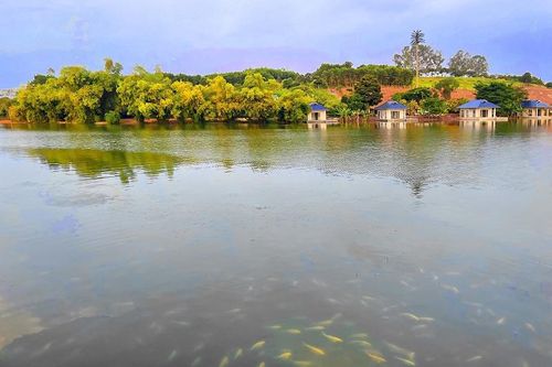 'Hi_KING LAKE' - Từ vẻ đẹp lung linh đến siêu thực