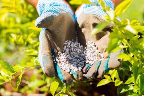 Hoa Kỳ hỗ trợ 4,4 triệu USD cho Dự án sử dụng phân bón đúng tại Việt Nam