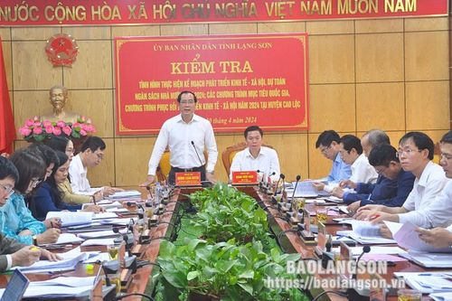 Lãnh đạo UBND tỉnh kiểm tra tình hình thực hiện kế hoạch phát triển kinh tế - xã hội tại huyện Cao Lộc, Văn Quan