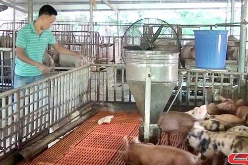 Hiệu quả nguồn vốn vay ưu đãi chính sách xã hội