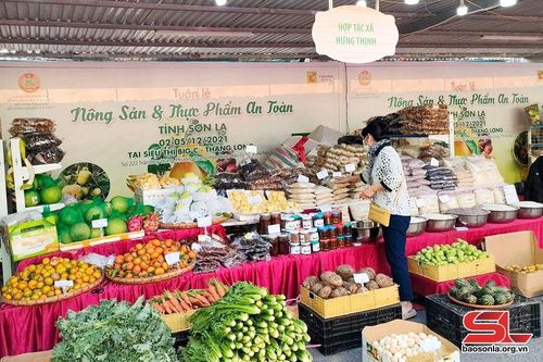 Liên kết trồng cây ăn quả sạch, an toàn, theo chuỗi giá trị